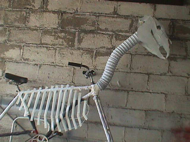 Skeletal Horse detail
